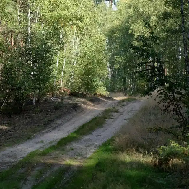 Dirt Path Sq