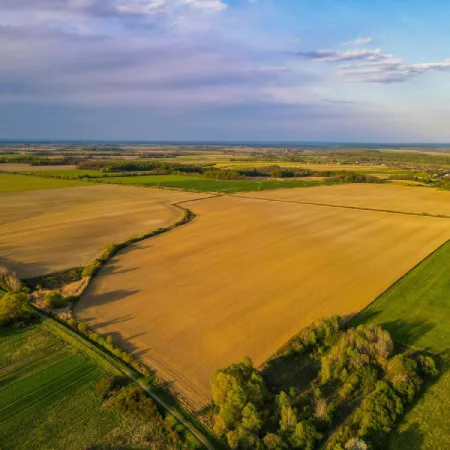 Farmland Sq