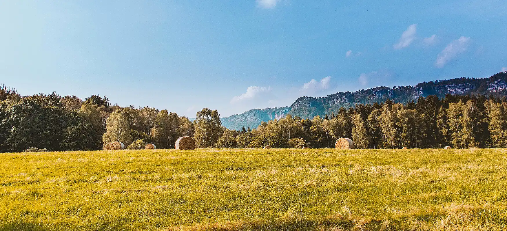Hay Field Photo